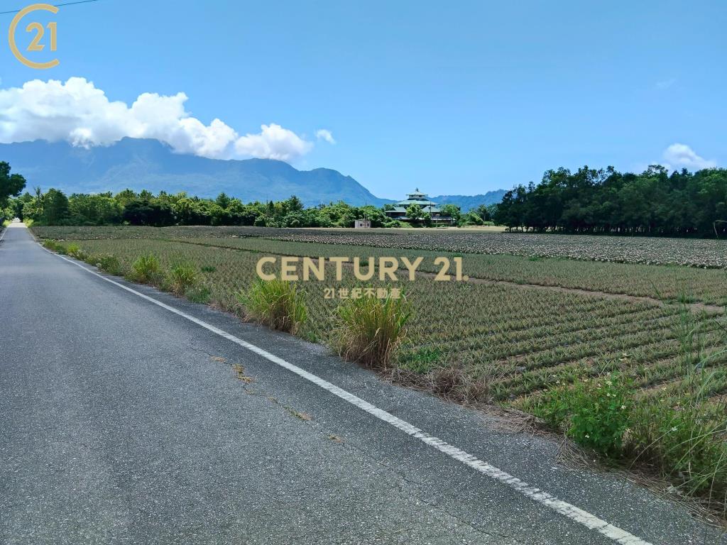 龍田漂亮農地-農縱28