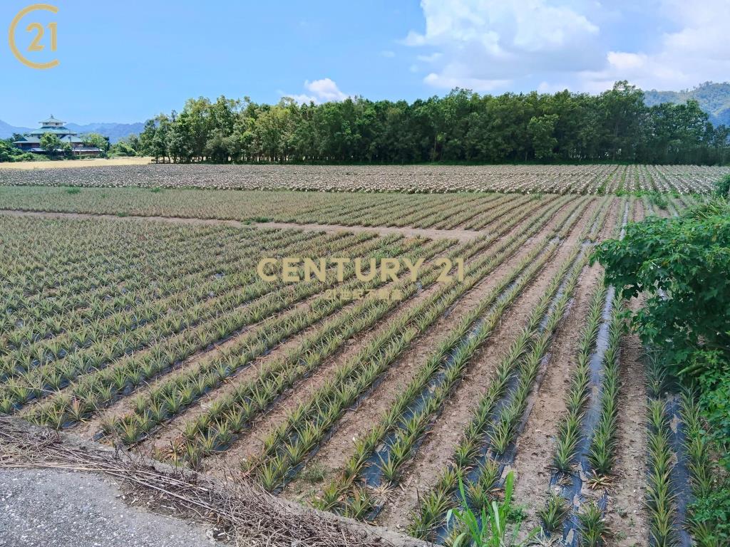 龍田漂亮農地-農縱28