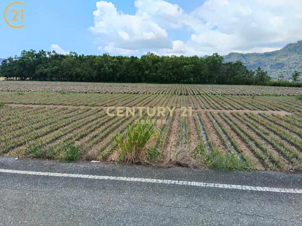 龍田漂亮農地-農縱28