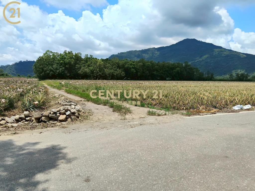 龍田漂亮農地-農縱28