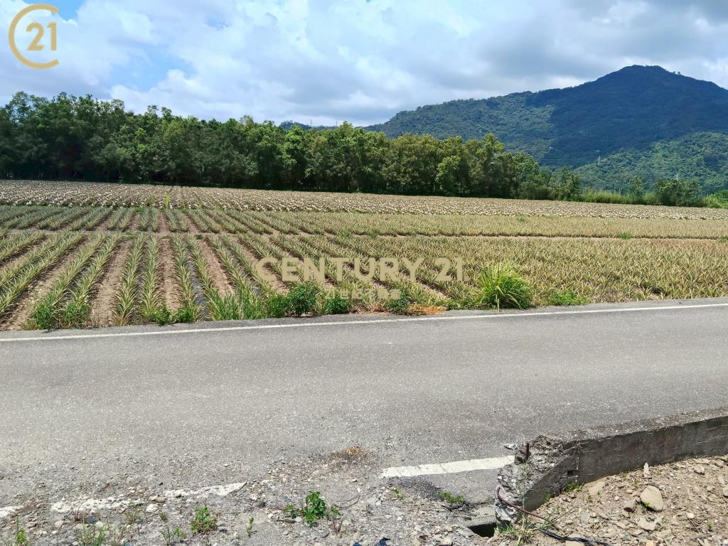 龍田漂亮農地-農縱28