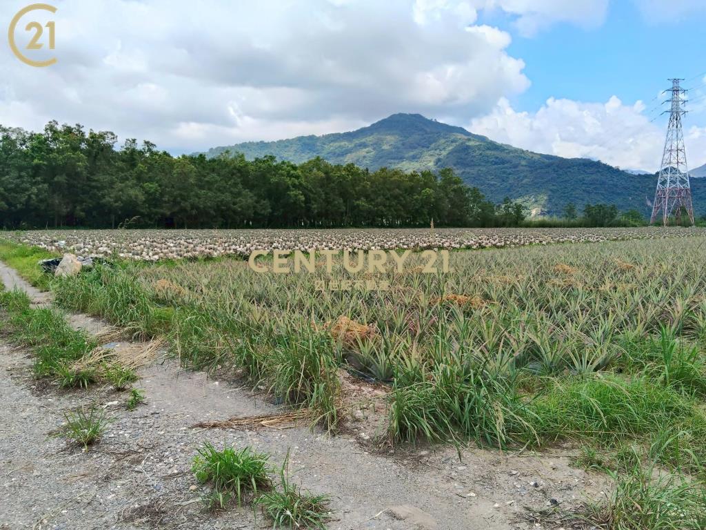 龍田漂亮農地-農縱28