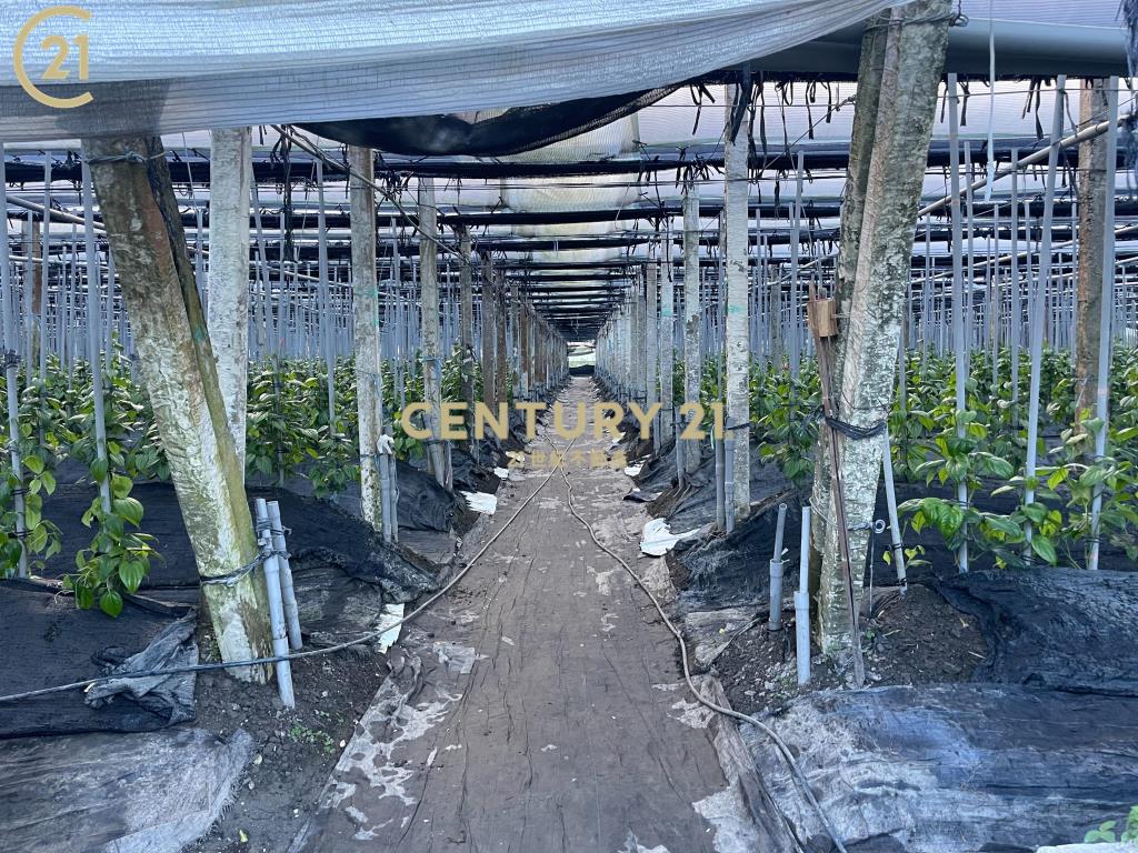 ▶獨賣◀開發隊雙面臨路大農地-農市124