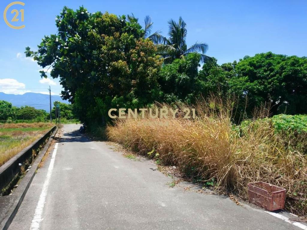 豐源國小後方建地106.28坪-建市35