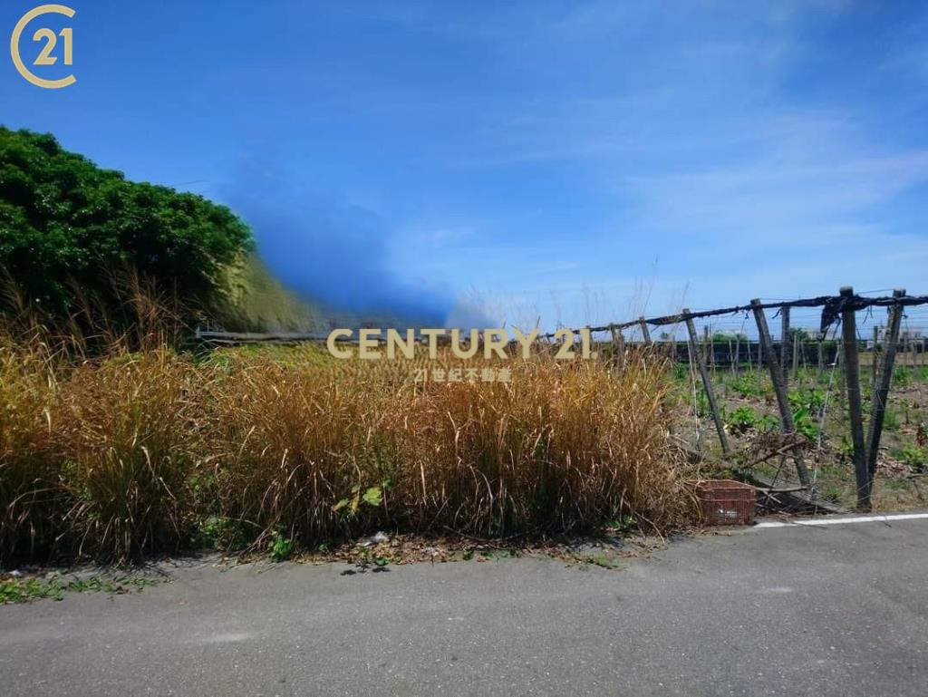 豐源國小後方建地106.28坪-建市35