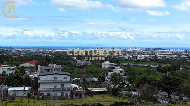 泰安夜景農地-農市130