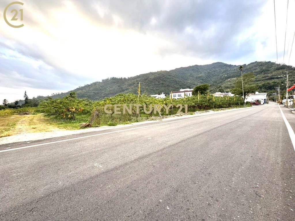 泰安夜景農地-農市130