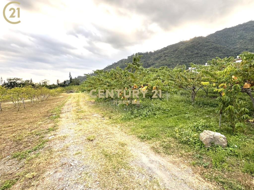 泰安夜景農地-農市130