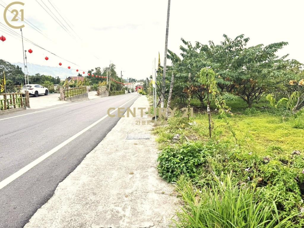 泰安夜景農地-農市130