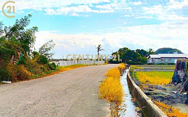 貓山都計內有水電農地-農市131