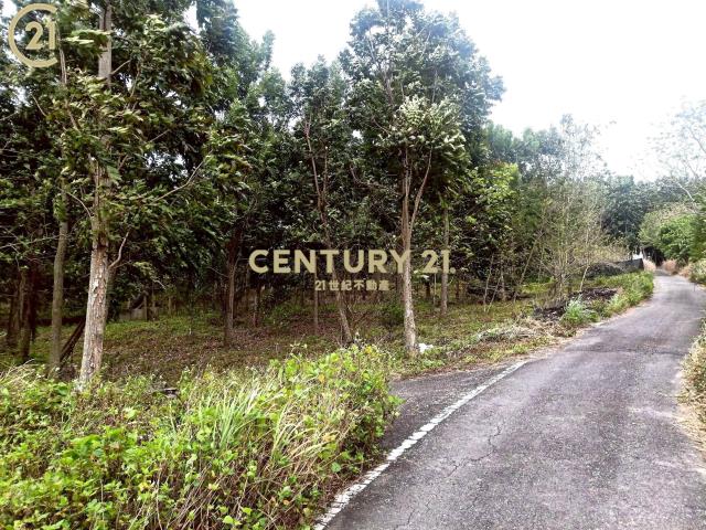 建和雙面路農地-農市133