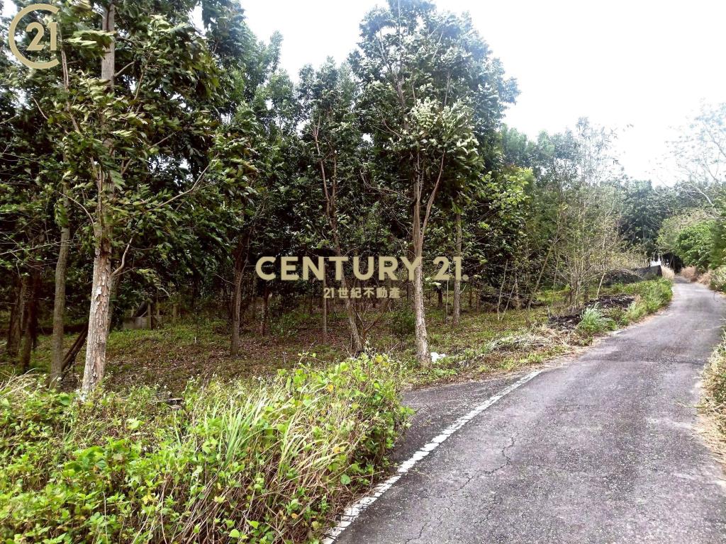 建和雙面路農地-農市133