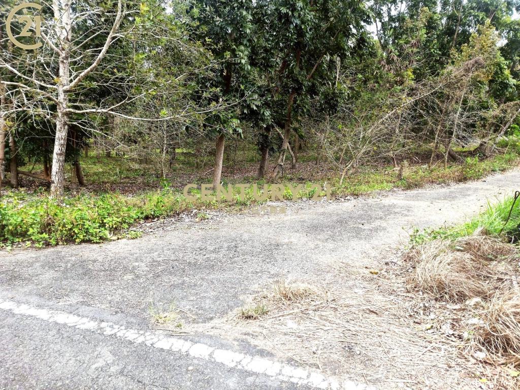 建和雙面路農地-農市133