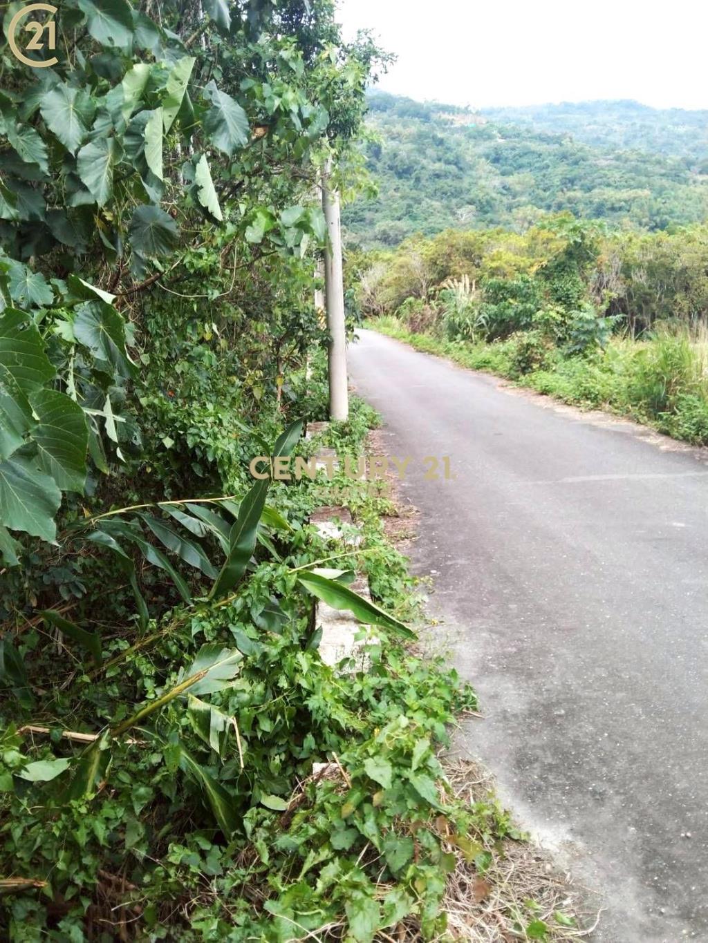 建和雙面路農地-農市133