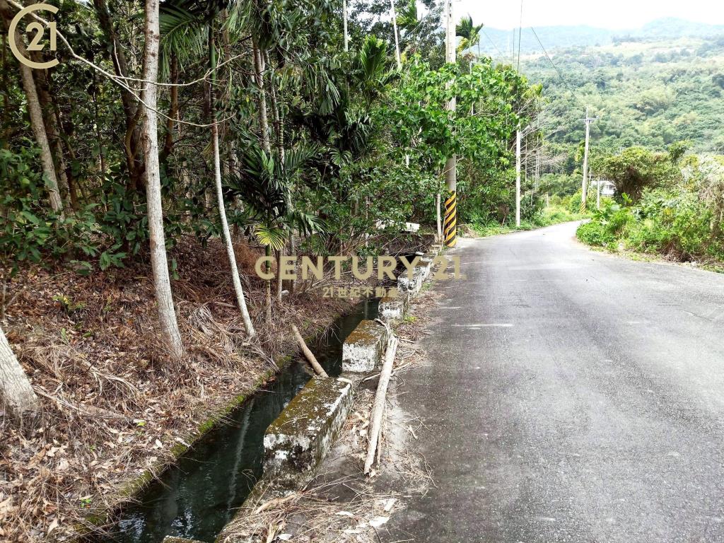 建和雙面路農地-農市133