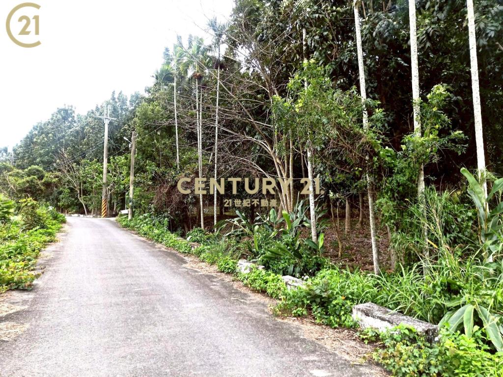 建和雙面路農地-農市133