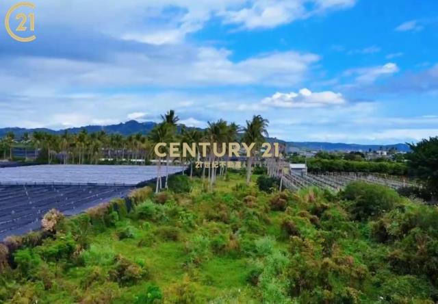 獨賣▶利嘉 近村莊農地-農市134