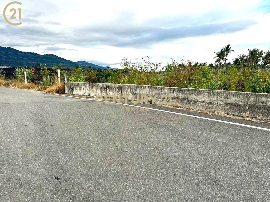 獨賣▶利嘉 近村莊農地-農市134