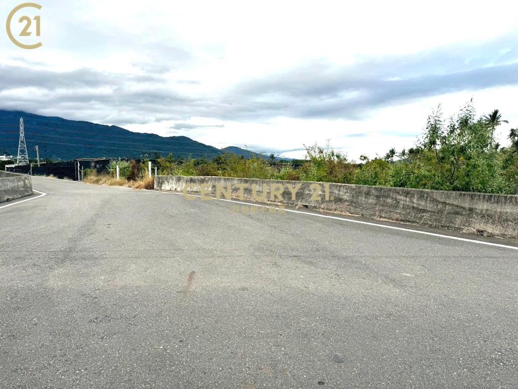 獨賣▶利嘉 近村莊農地-農市134