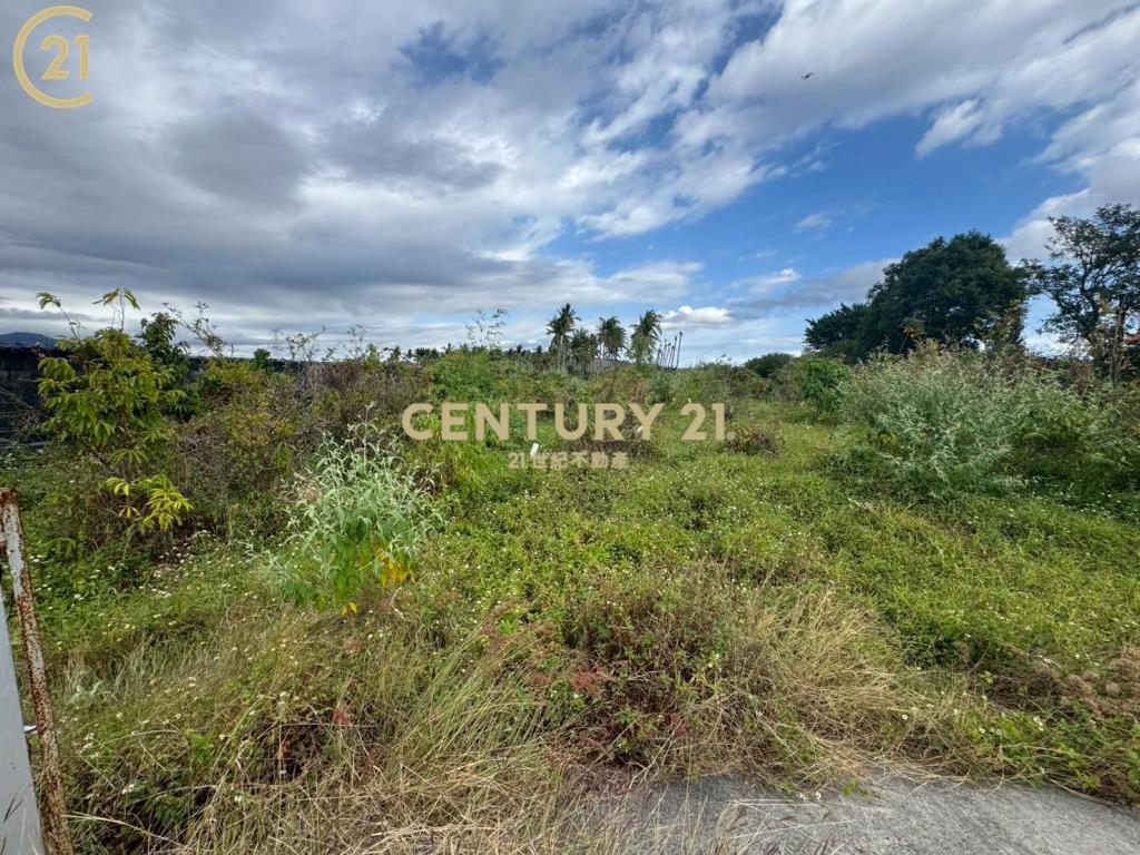 獨賣▶利嘉 近村莊農地-農市134