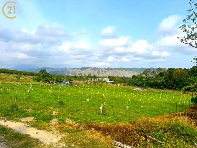 卑南文化公園夜景農地-農市137