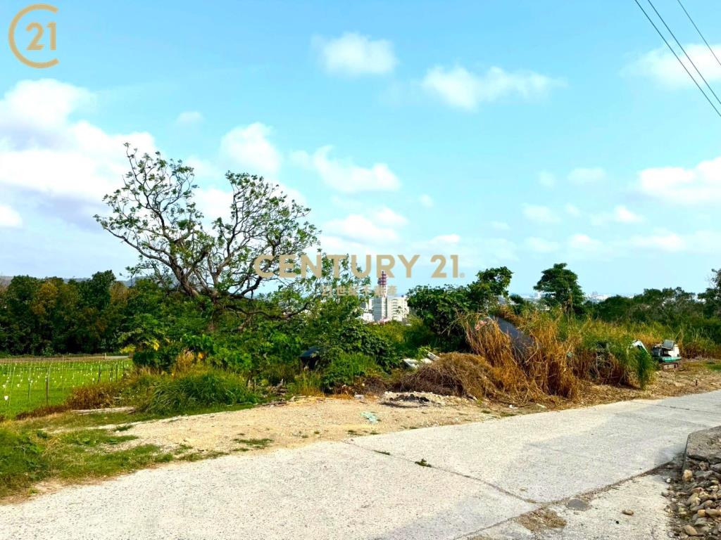 卑南文化公園夜景農地-農市137