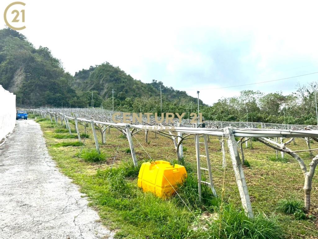 卑南文化公園夜景農地-農市137