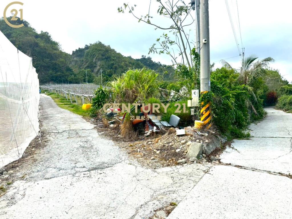 卑南文化公園夜景農地-農市137