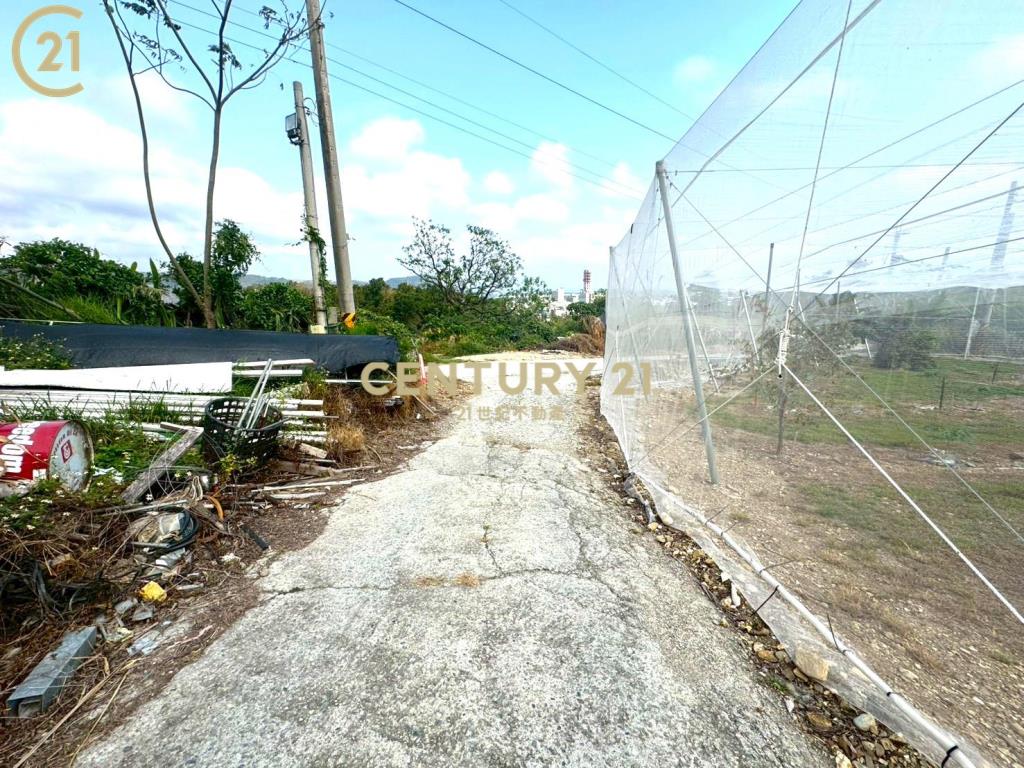 卑南文化公園夜景農地-農市137