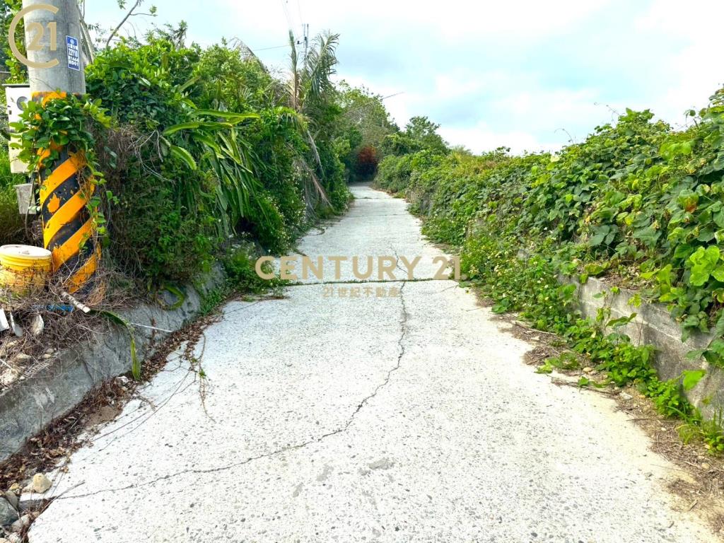 卑南文化公園夜景農地-農市137