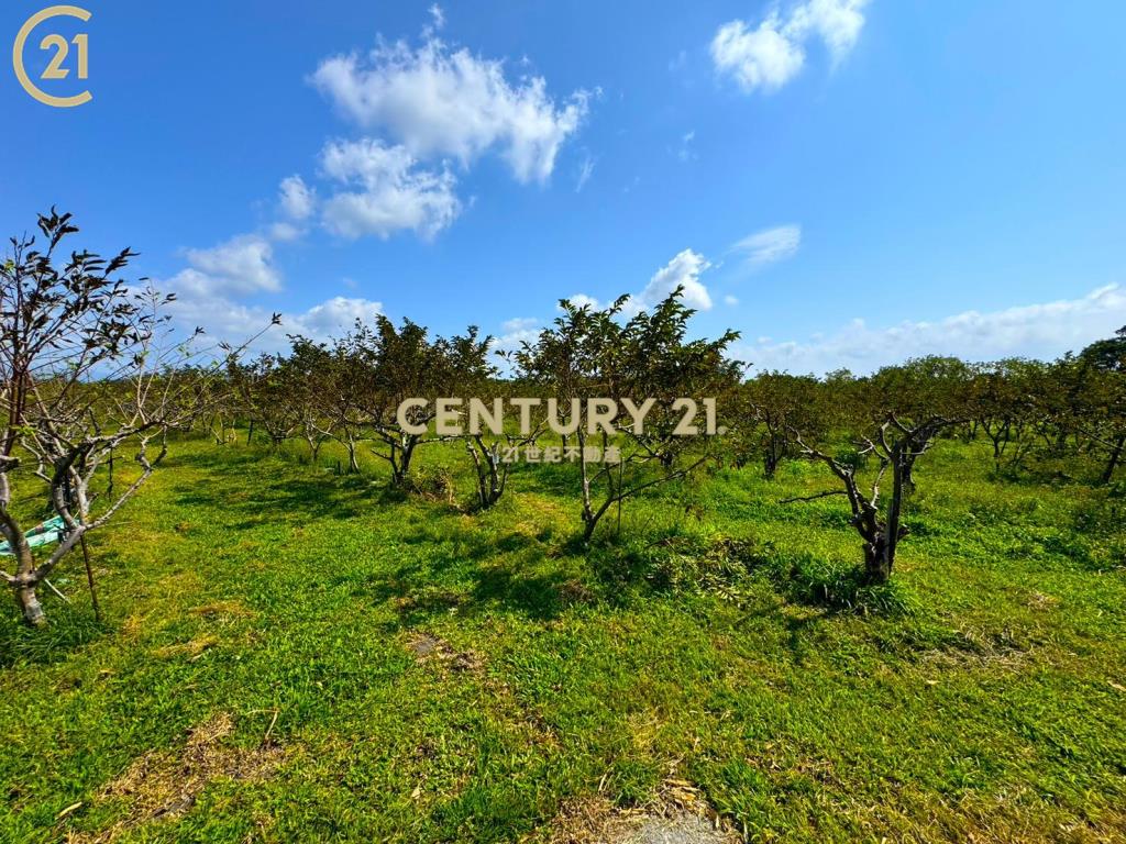 獨賣 市郊低總價有水有電農地