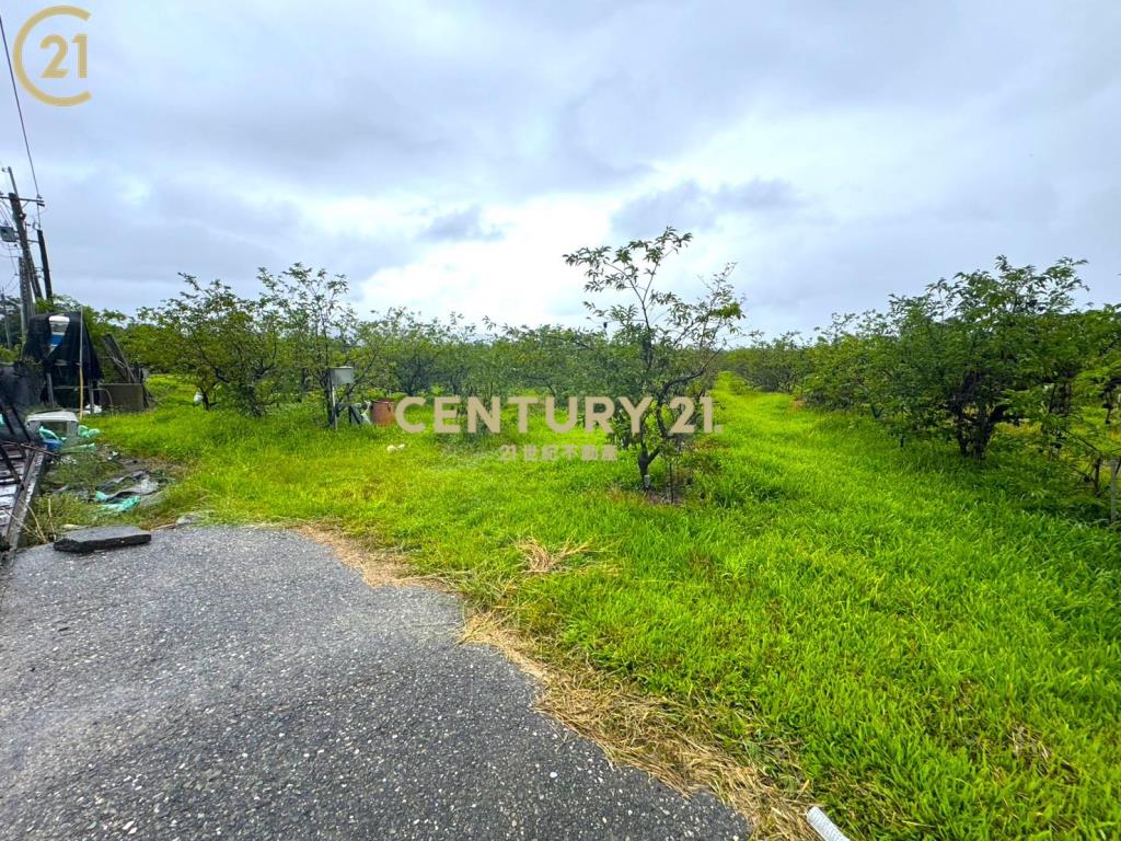 獨賣 市郊低總價有水有電農地