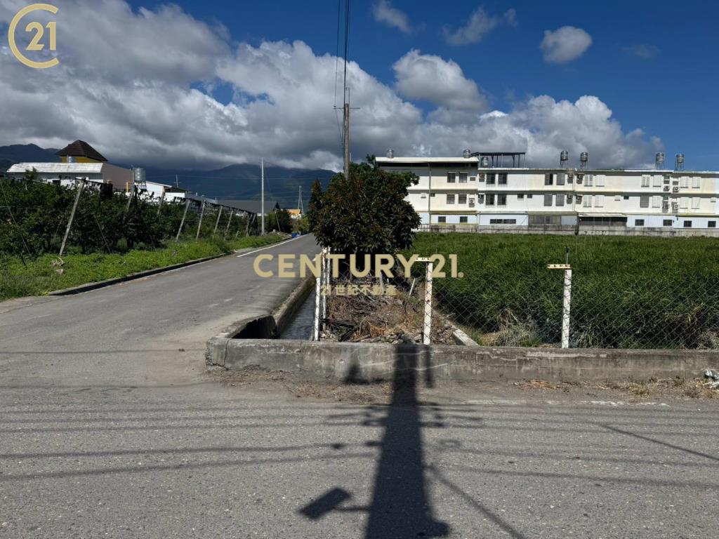 太平段三角窗農地-農市141